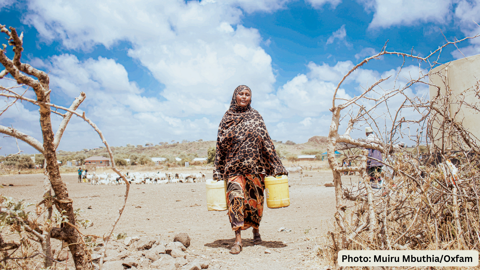 Halima walks to get water